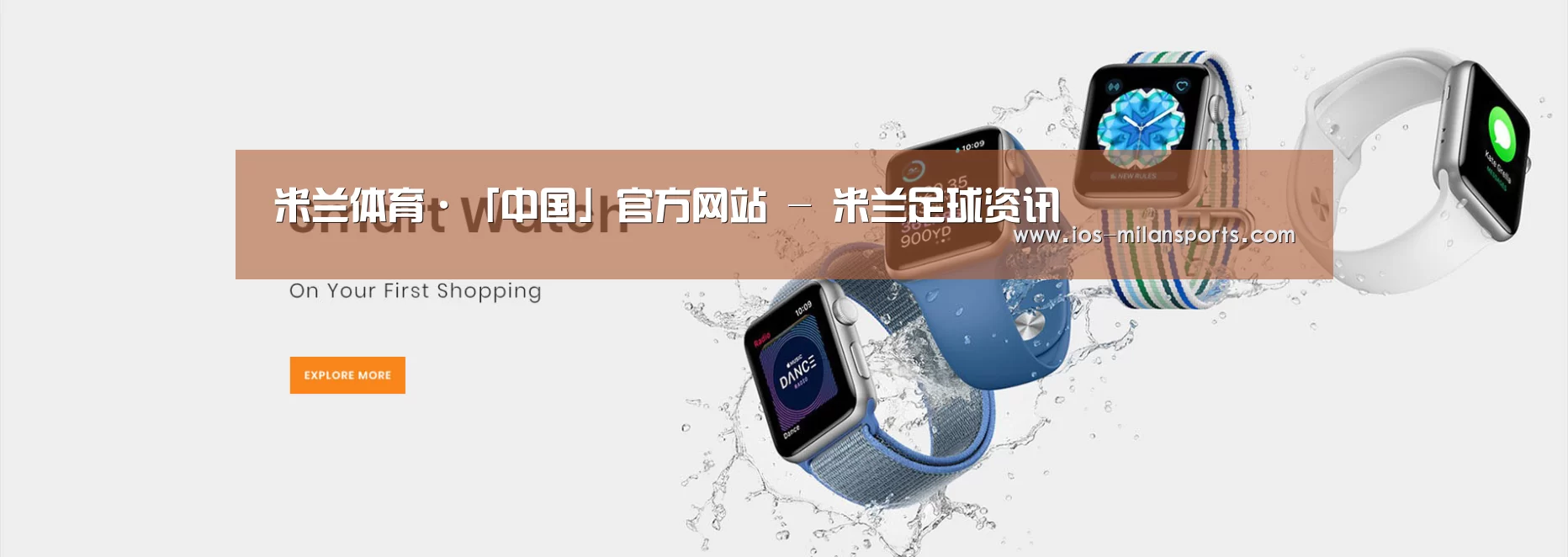 某某网络科技有限公司
