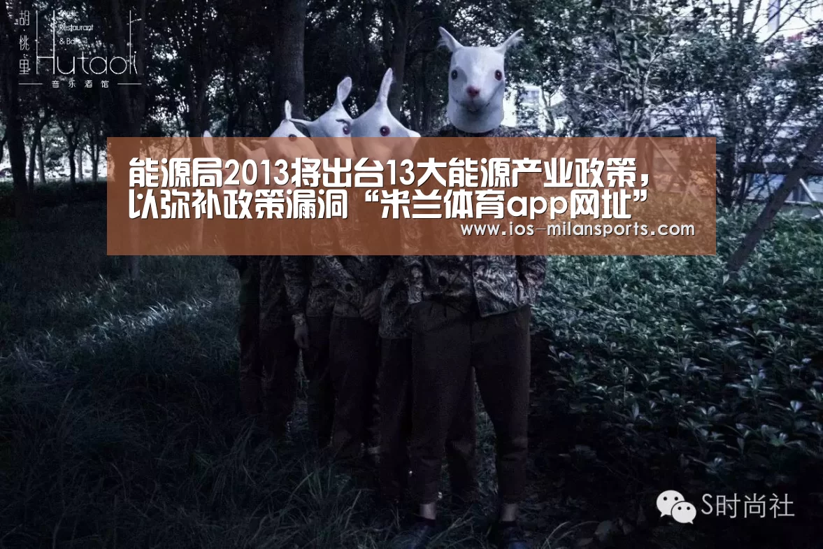 能源局2013将出台13大能源产业政策，以弥补政策漏洞“米兰体育app网址”