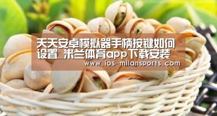 天天安卓模拟器手柄按键如何设置_米兰体育app下载安装(图4) 米兰体育app网址