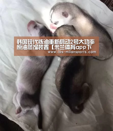 米兰体育app下载安装