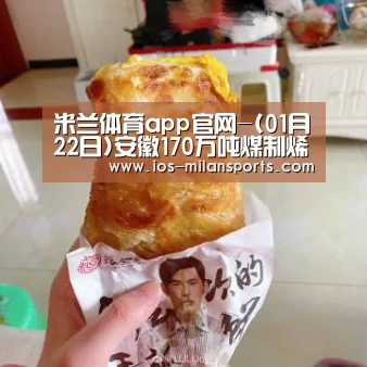 米兰体育app官网-(01月22日)安徽170万吨煤制烯烃项目建设最新进展