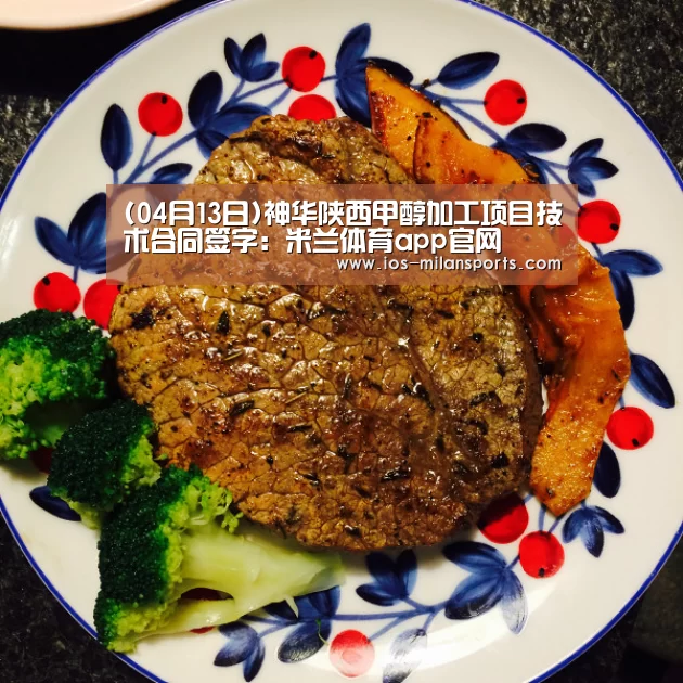 (04月13日)神华陕西甲醇加工项目技术合同签字:米兰体育app官网(图4) 米兰体育app网址